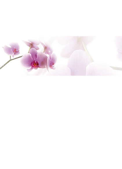 Theme preview